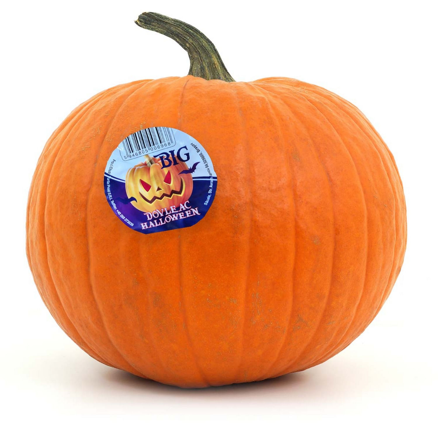 Dovleac Halloween