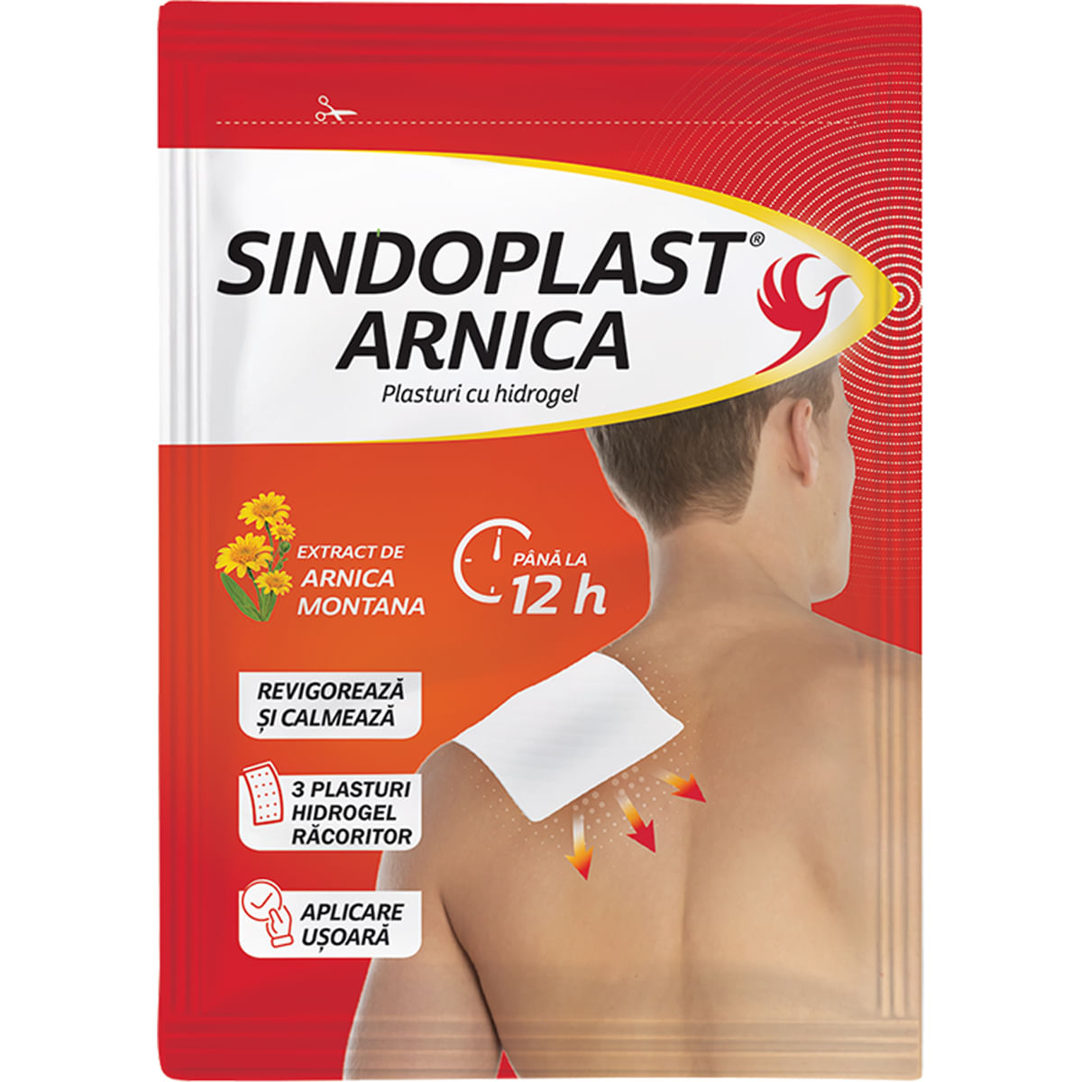 Plasturi cu hidrogel Fiterman Sindoplast Arnica, 3 bucati