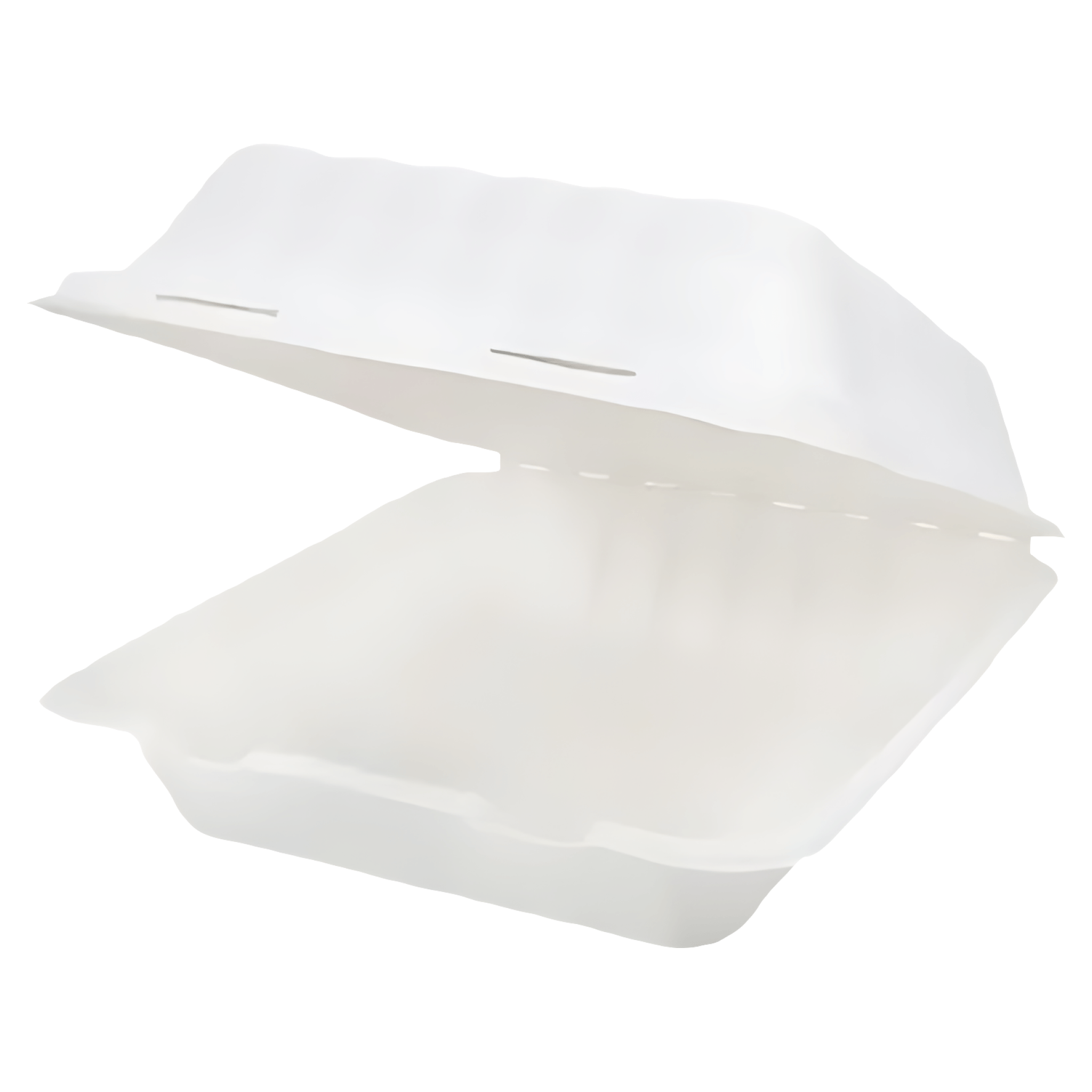 Set caserole de unica folosinta, pentru hamburger, 5 bucati, 22 x 15 cm, trestie de zahar