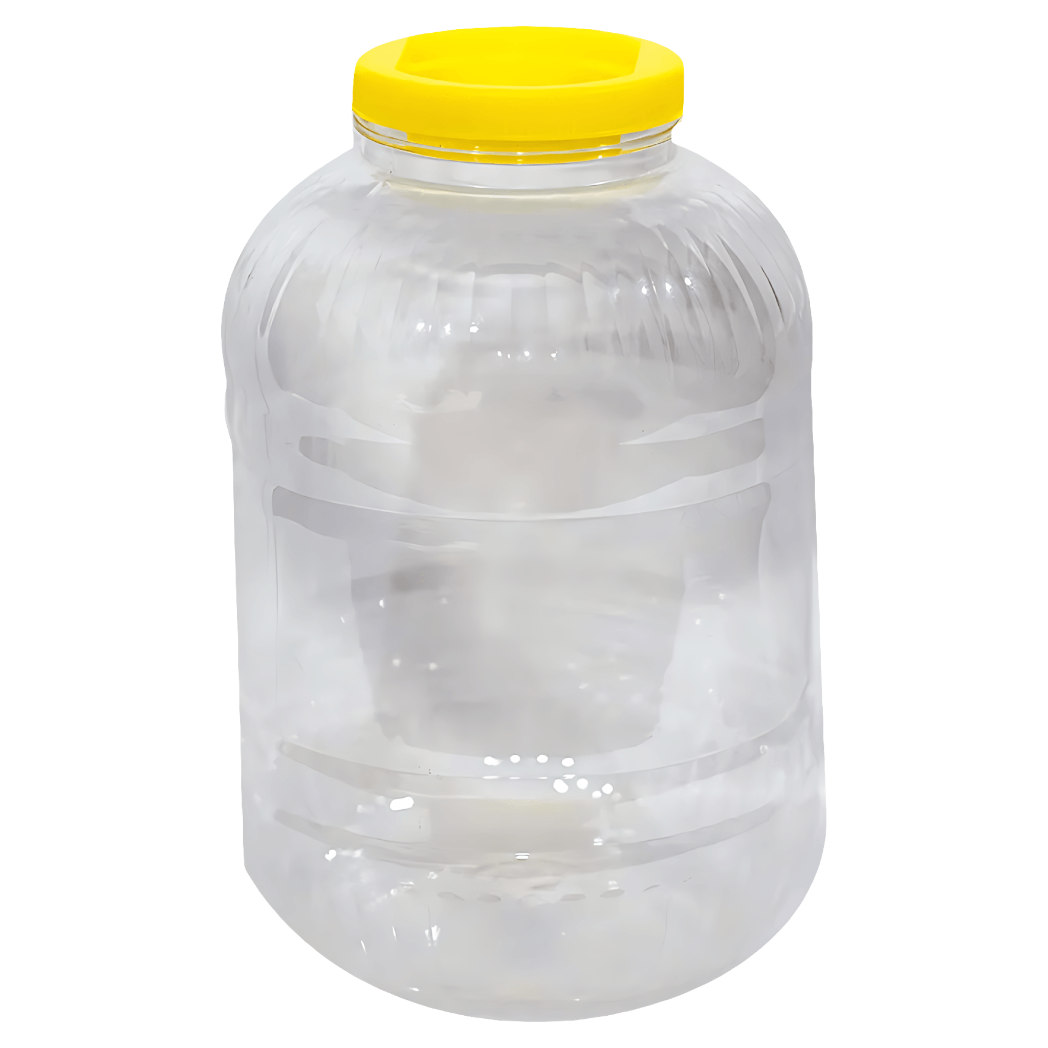 Borcan Agora Plast din plastic, cu capac, 8 l