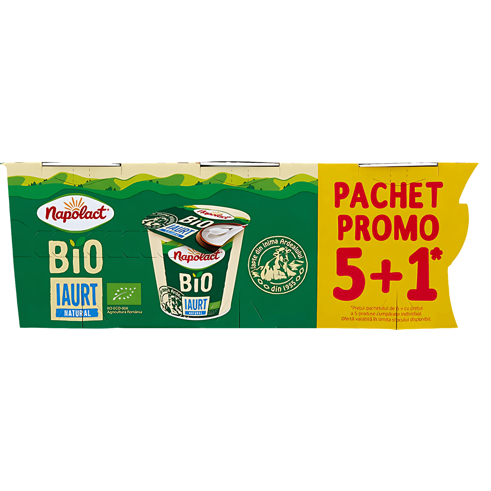 Iaurt BIO Napolact, 3.8% grasime 6 x 140 g