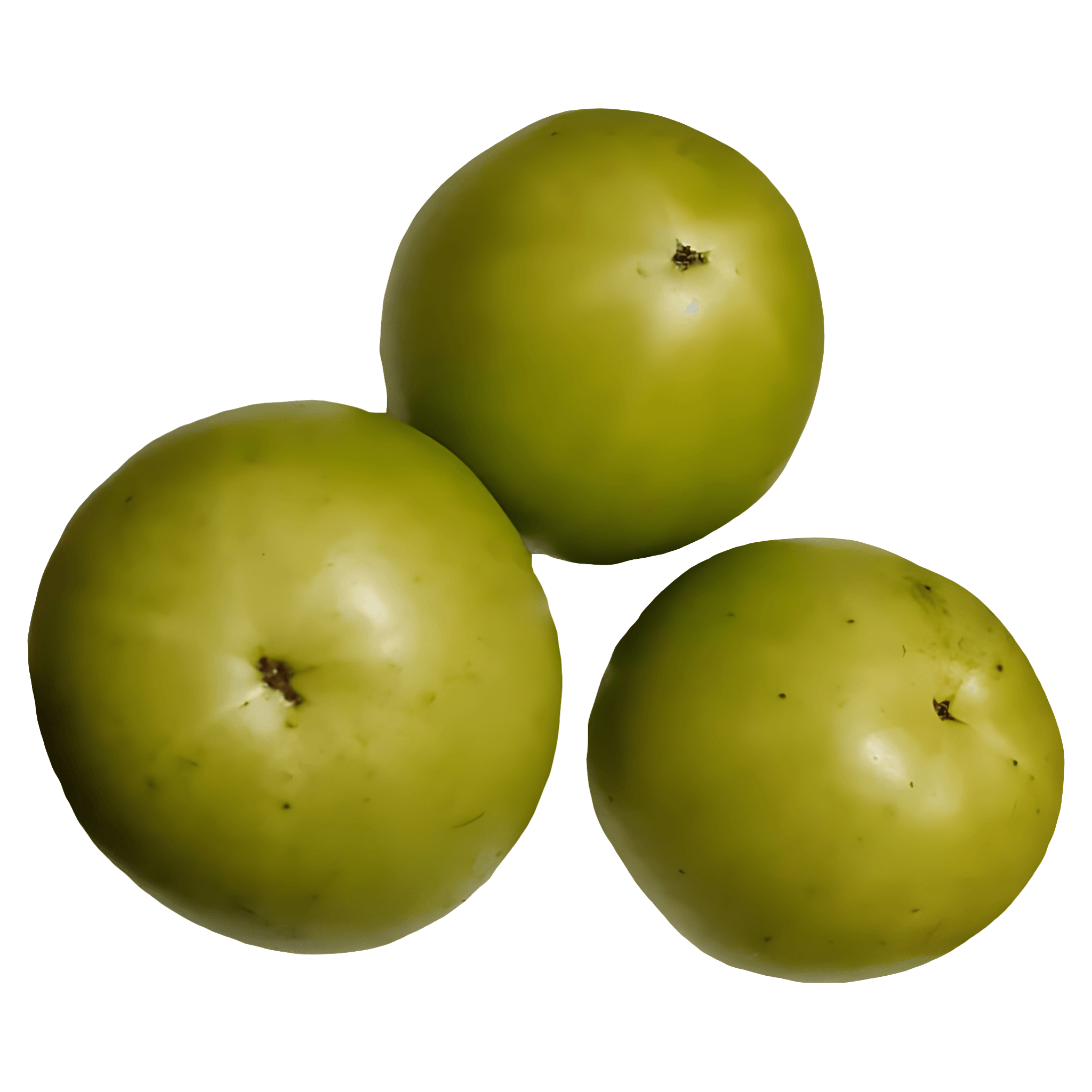 Gogonele, +/- 1 kg