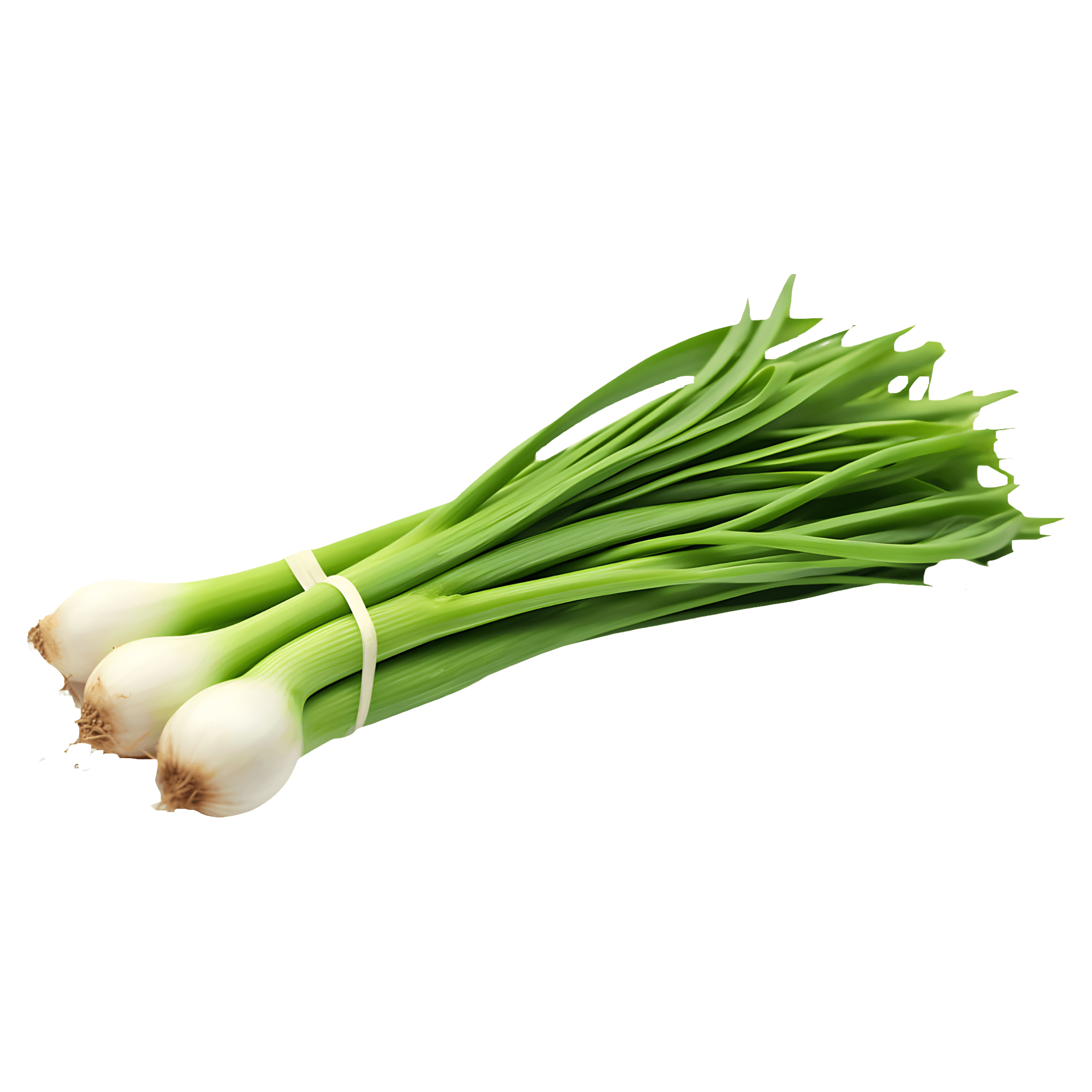 Ceapa verde romaneasca, pret pe legatura